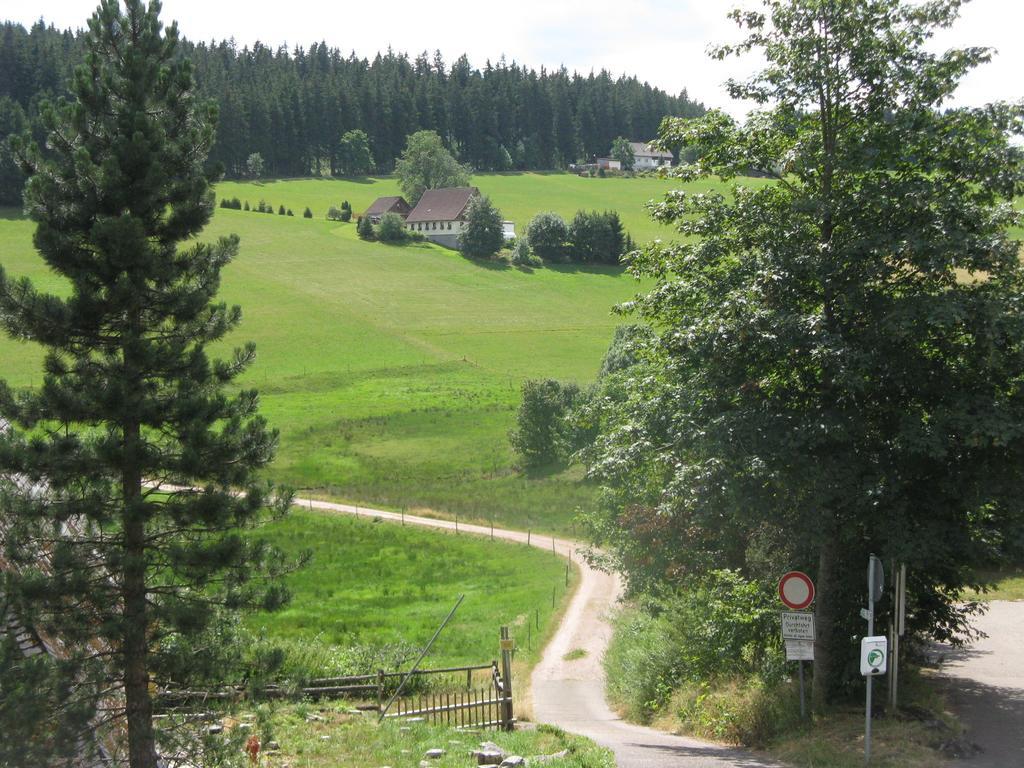 Ferienhaus Lucia, App.11 Schönwalde Rom bilde